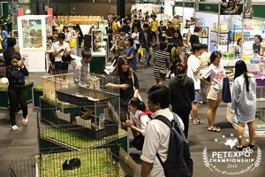 태국 펫 엑스포 2026 brand background image