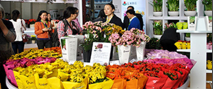 중국 국제  화훼 & 원예 박람회 2020 brand background image